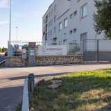 Lavermicocca Gardening & Desing si trova su via Bitritto, nei pressi dello Stadio San Nicola